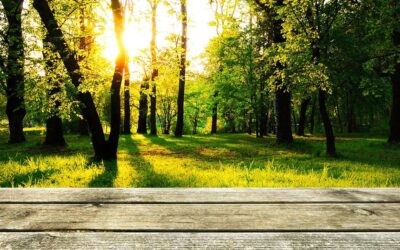Les étapes cruciales pour la construction d&rsquo;une terrasse de jardin en bois