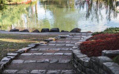 Jardin zen : Une tradition japonaise qui vise la plénitude