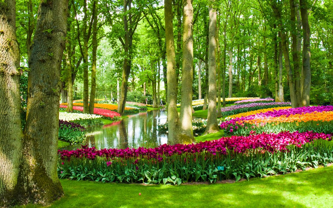 un archittecte paysagiste est le professionnel de référence pour créer le jardin de vos rêves