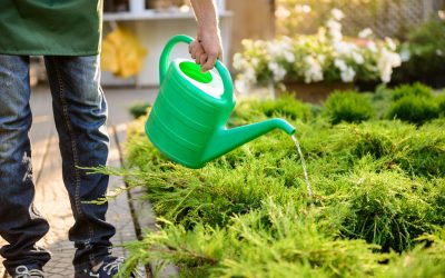 Service à la personne jardinage dans la Dombes